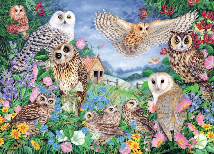 Falcon de luxe Owls in the Wood 1000 Piece Jigsaw Puzzle
