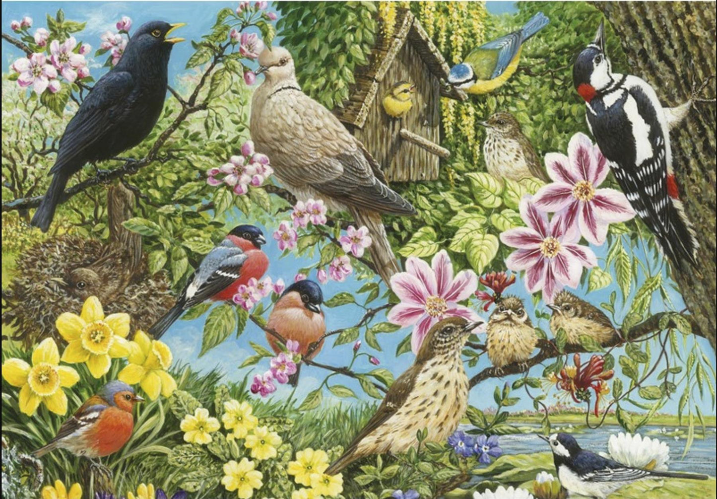Nature's Finest 500 Piece Jigsaw Puzzle