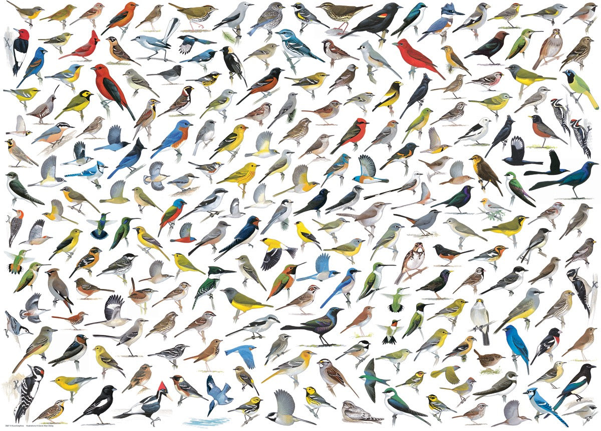 The World of Birds by David Sibley 1000 Piece Jigsaw Puzzle