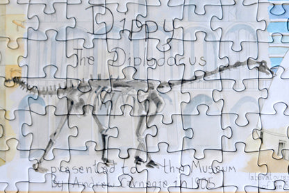 PRE-ORDER Tim Bulmer - Natural History Museum 1000 Piece Jigsaw