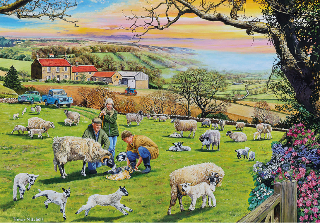 Call the Vet 4 x 500 Piece Jigsaw Puzzle
