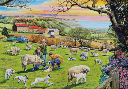 Call the Vet 4 x 500 Piece Jigsaw Puzzle