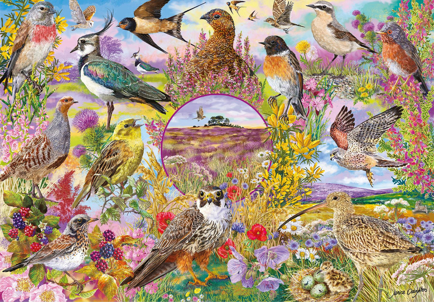 RSPB Wings in the Wild 4x500 Piece Jigsaw Puzzle