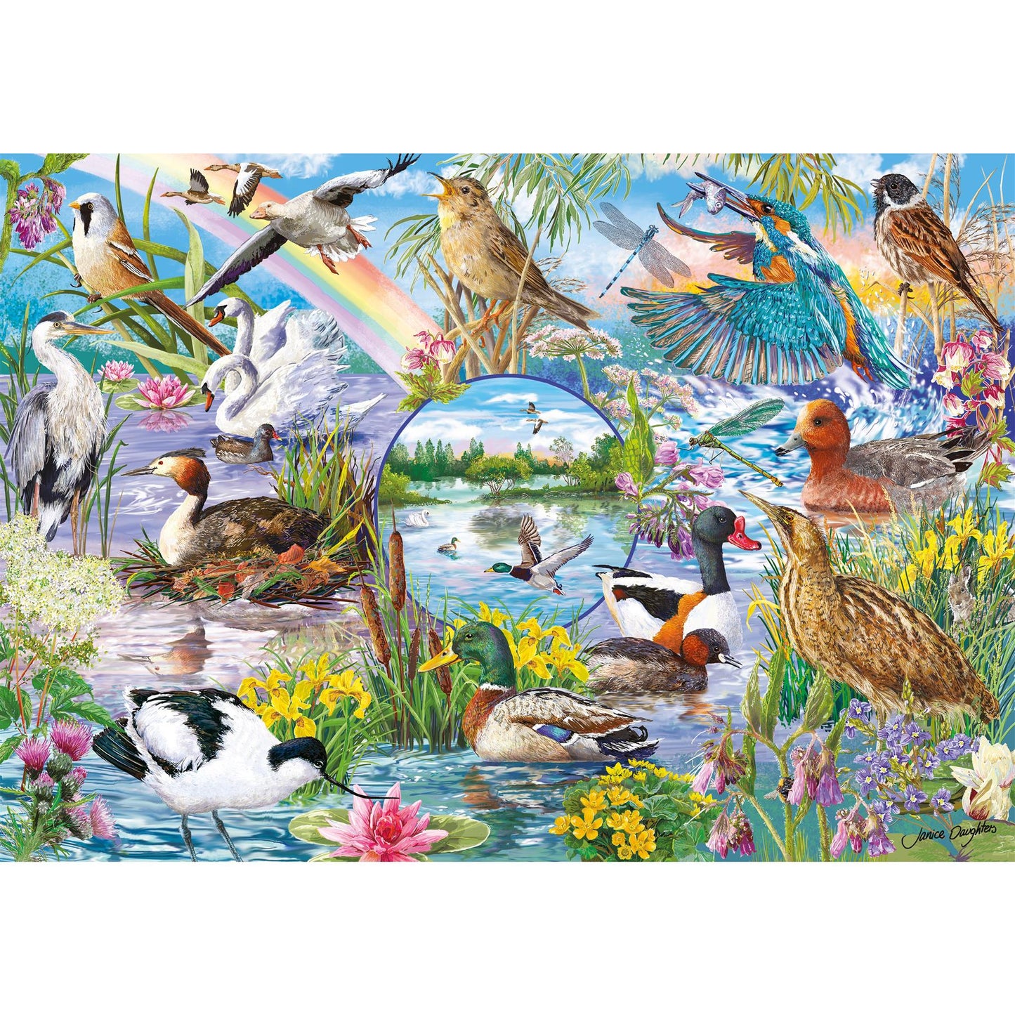 RSPB Wings in the Wild 4x500 Piece Jigsaw Puzzle