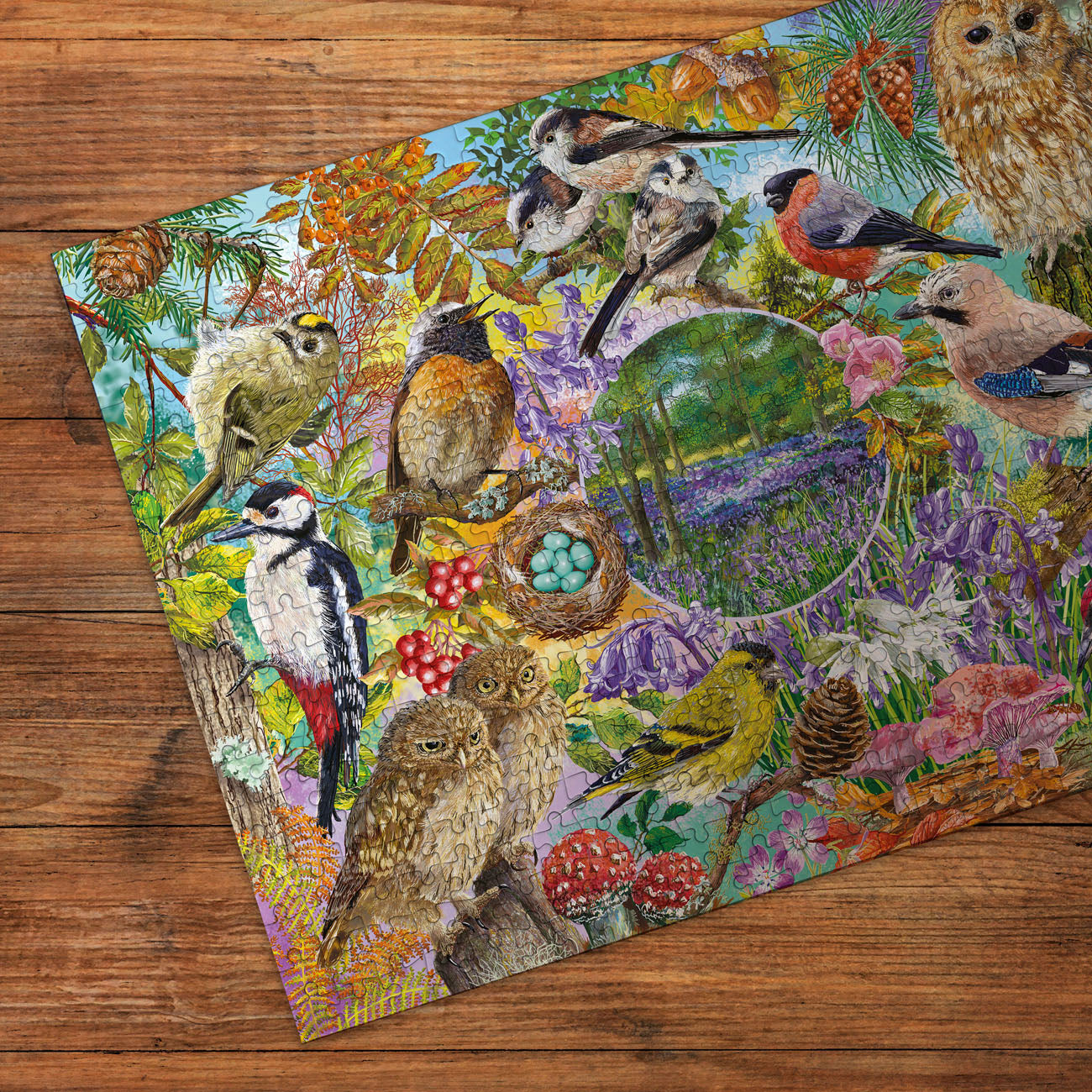 RSPB Wings in the Wild 4x500 Piece Jigsaw Puzzle