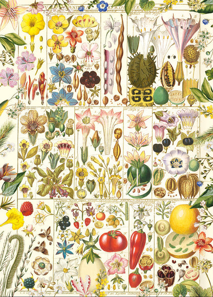 RHS: Botanical Bliss 1000 Piece Jigsaw Puzzle