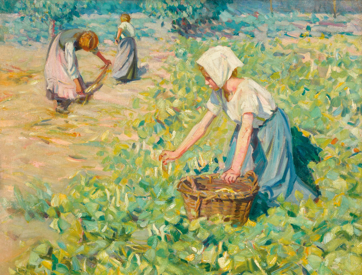 The Bean Harvest Jigsaw Puzzle - Helen Galloway McNicoll