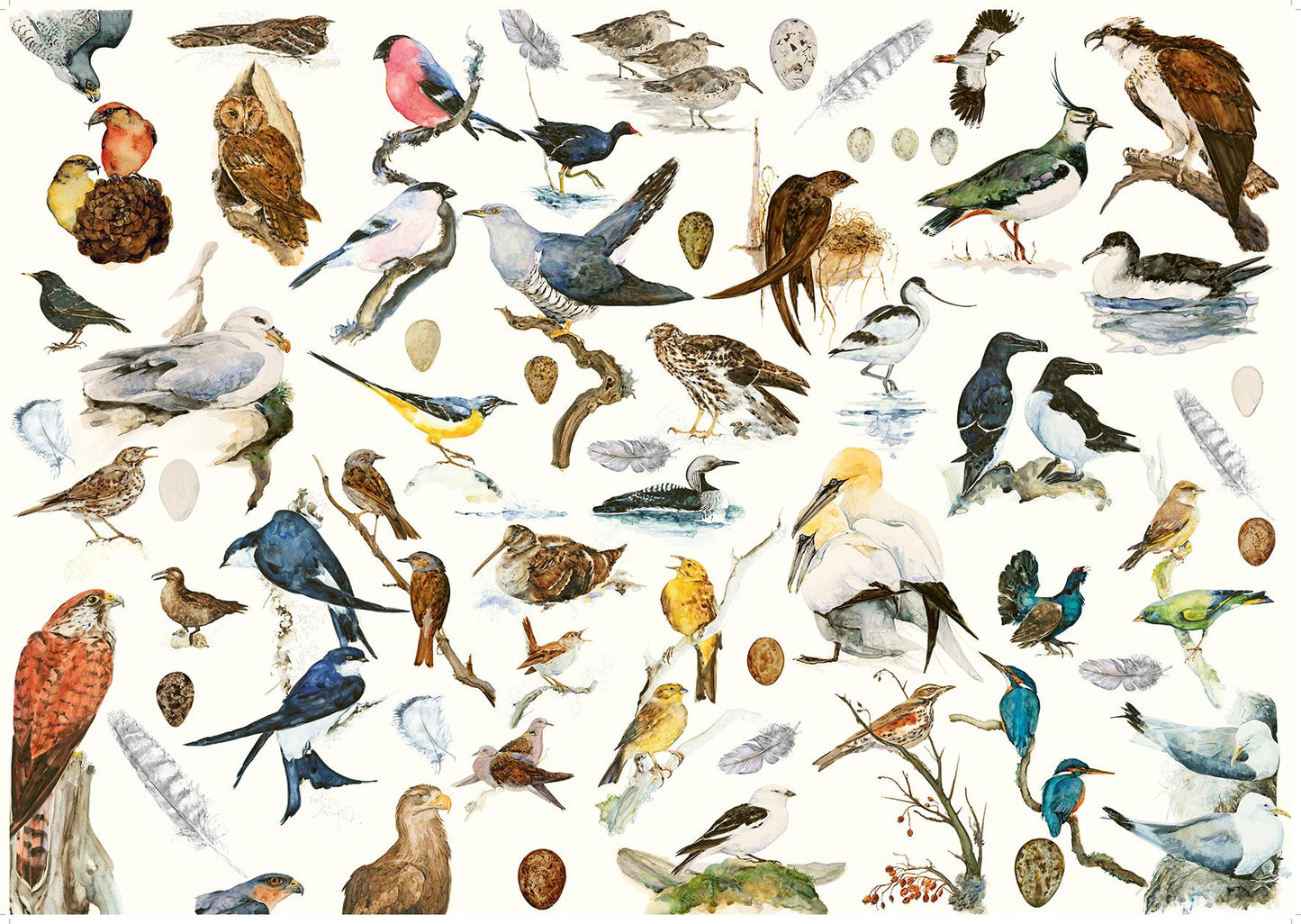 The Book of Birds 1000 Piece Jigsaw Puzzle