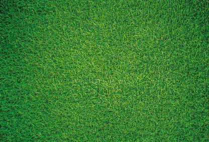 Natural Grass - Impuzzible No.7 - 1000 or 500 Piece Jigsaw Puzzle