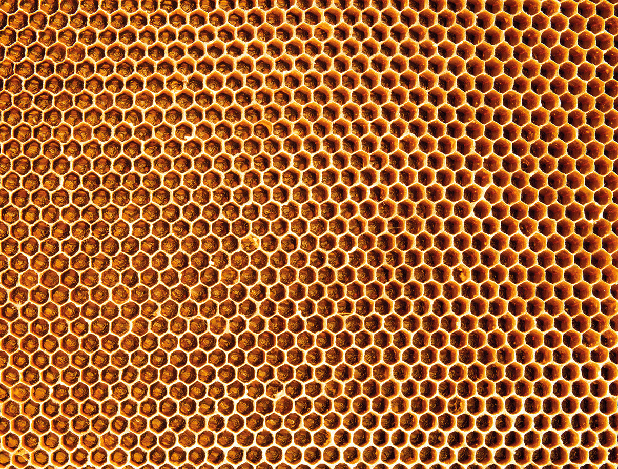 Heavy Puzzles Impuzzible Bee Hive 1000-Piece Puzzle – 66x50 Cm, Challenging Adult Puzzle, UK Made