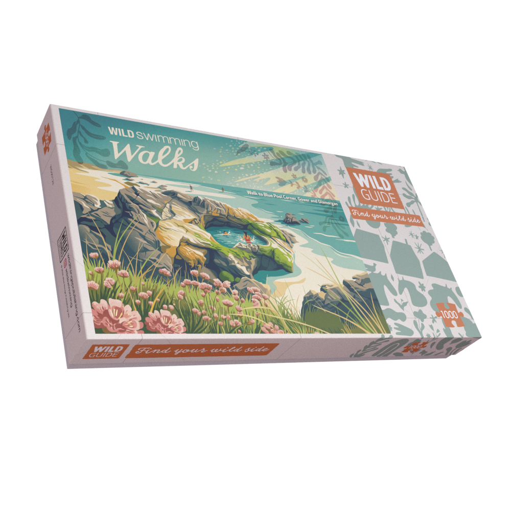 Wild Guide Blue Pool Corner, Gower and Glamorgan 1000 Piece Jigsaw Puzzle