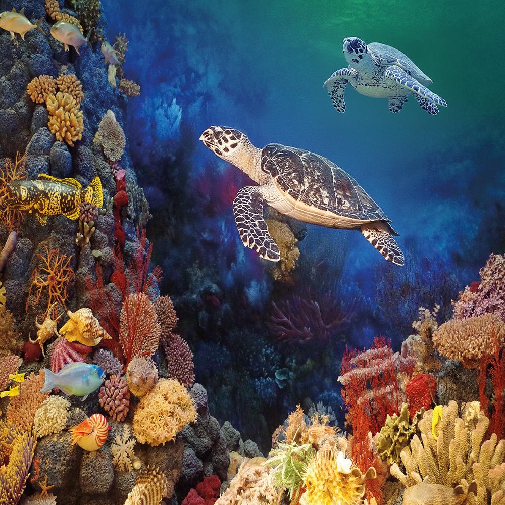 Tropical Turtles 1000 piece jigsaw puzzle All Jigsaw Puzzles