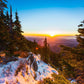 Sunset in the Snowy Forest 1000 Piece Jigsaw Puzzle