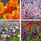 Spring flowers jigsaw puzzle