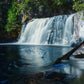 Tranquil Creek 1000 Piece Jigsaw Puzzle
