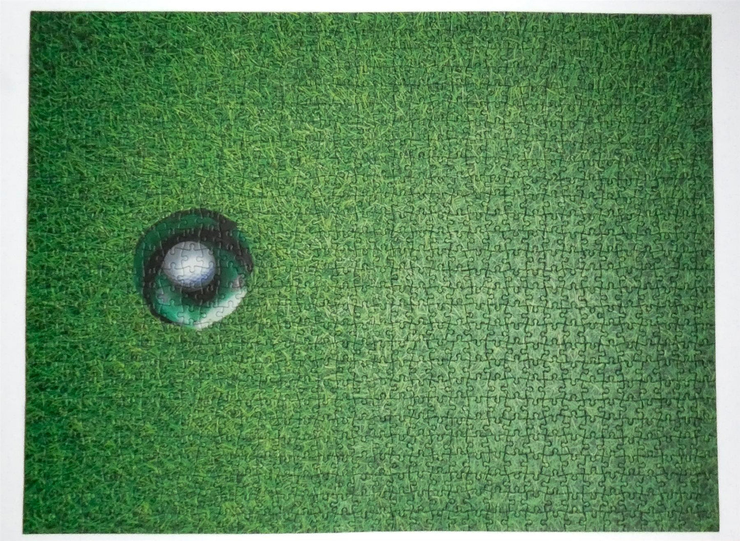 A Hole In One- Impuzzible No.43 - 1000 Piece Jigsaw Puzzle