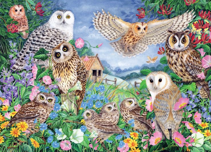  Falcon de luxe Owls in the Wood 1000 Piece Jigsaw Puzzle