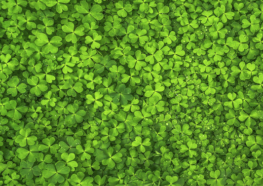 Find the Four Leaf Clover Impuzzible No.44 - 1000 Piece Jigsaw Puzzle