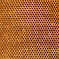 In the Hive - Impuzzible No. 20 - 1000 Piece Jigsaw Puzzle