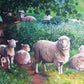 Sheep in Shade - 1000 Piece Jigsaw Puzzle - All Jigsaw Puzzles UK
 - 1